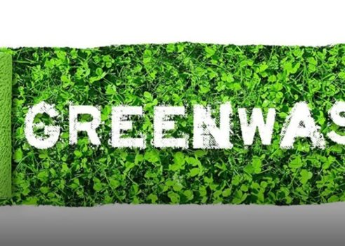 2024 04 17 Greenwashing