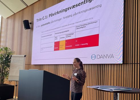 2024 05 12 Netværksmøde Line.Mfejpg