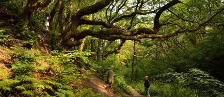 COLOURBOX16492603 (1)