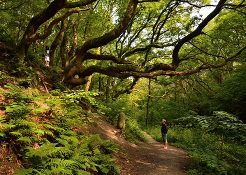 COLOURBOX16492603 (1)