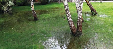 2021 09 28 Højtstående Grundvand