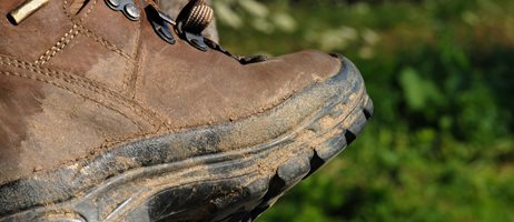 2025 03 19 Brun Vandrestøvle Ved Træstamme COLOURBOX1781936