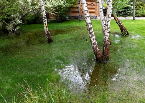 Højtstående Grundvand