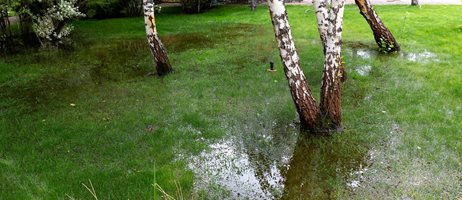 Højtstående Grundvand