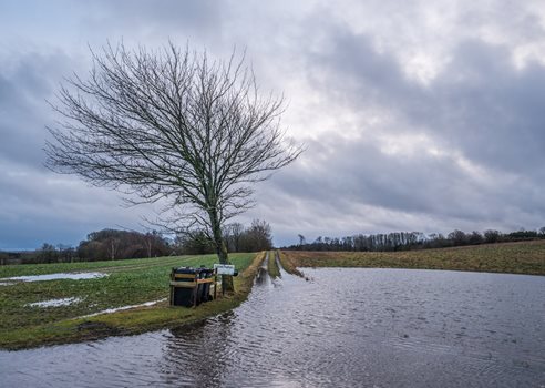 2025 09 09 Oversvømmet Landevej På Landet Omgivet Af Marker COLOURBOX63114303