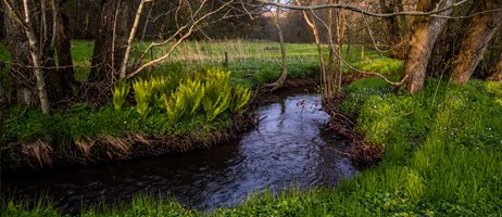 2026 01 29 Vandløb I Natur Colourbox
