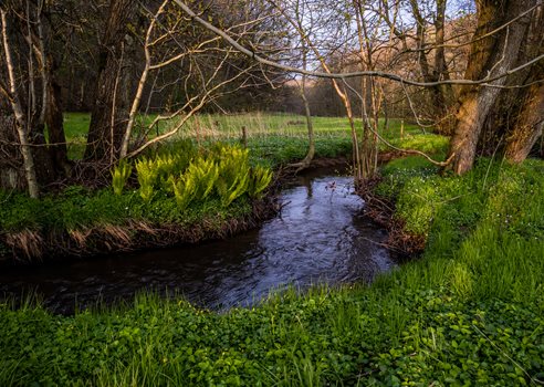 2026 01 29 Vandløb I Natur Colourbox