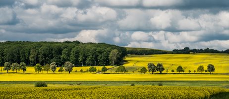 20261803 COLOURBOX60281397