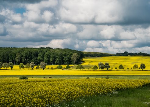 20261803 COLOURBOX60281397