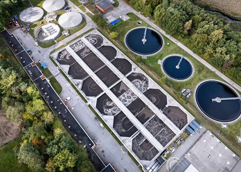 1600Px COLOURBOX61385687