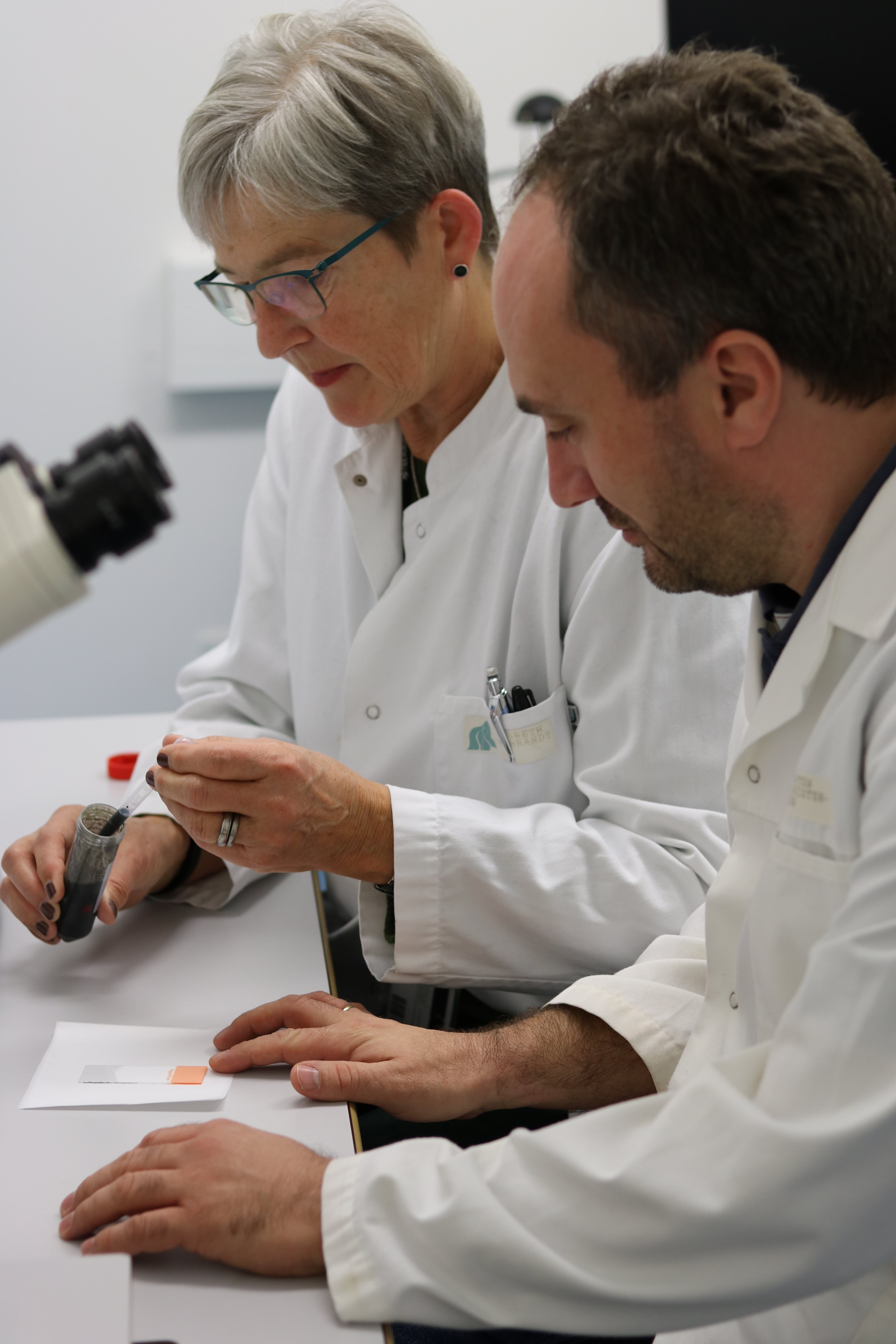 Rethink sludge IMG_2503.jpg