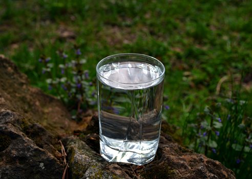 vandglas på mark 2.jpg