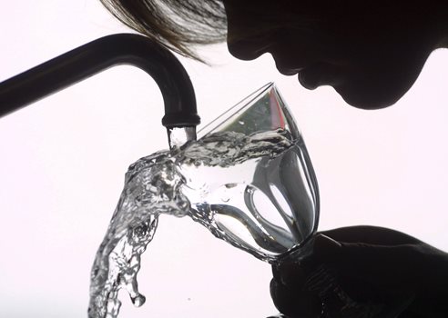 Vandhane og vandglas og menneske COLOURBOX552101.jpg