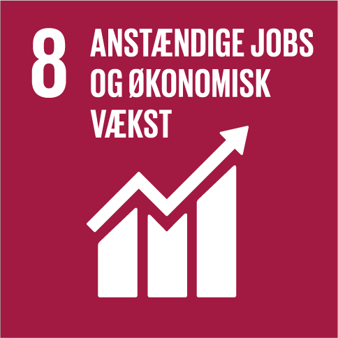 Mål 8: Anstændige jobs og økonomisk vækst