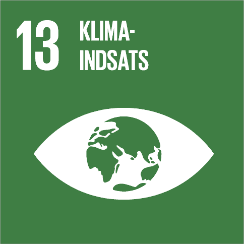 Mål 13: Klimaindsats