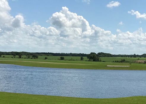 Regnvandsbassin Bramming_Panorama-oversigt_IMG_0051.jpg