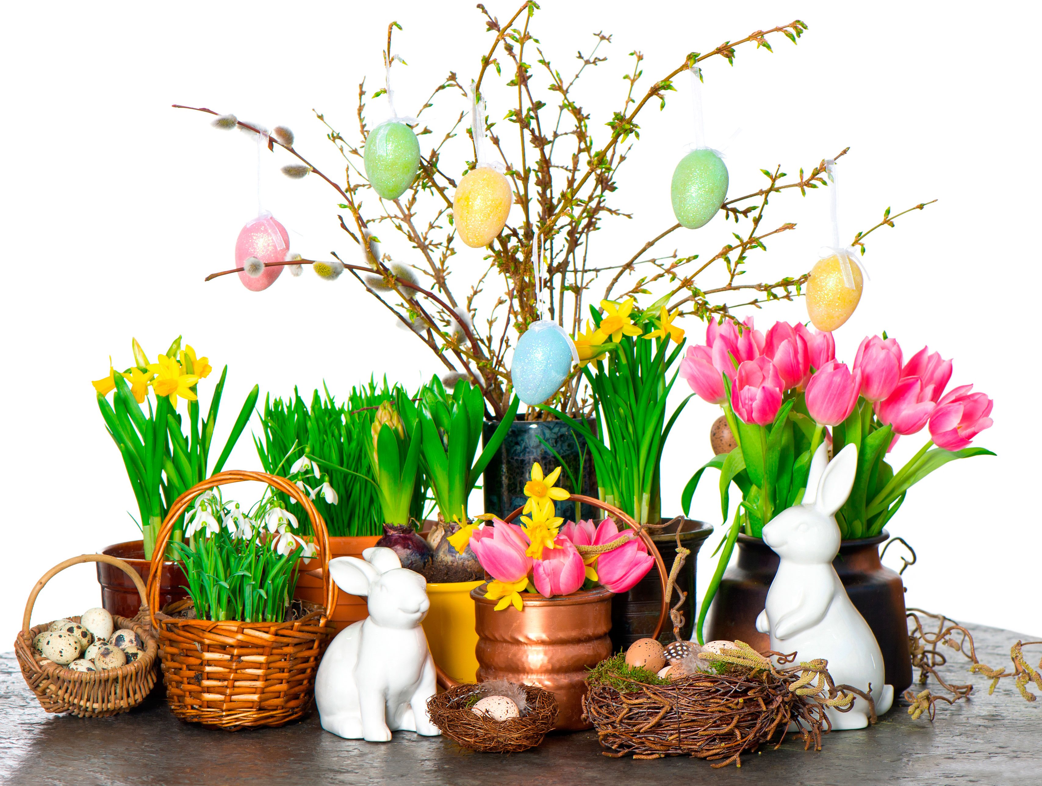 Påskeæg Og Blomster