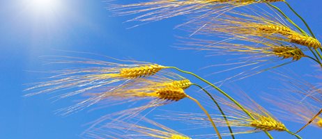 Bæredygitghedsrapportering.COLOURBOX